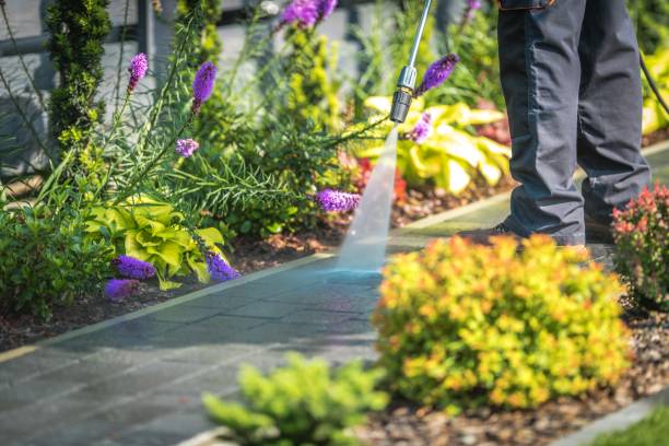 Best Parking Lot Cleaning in Lewistown, IL