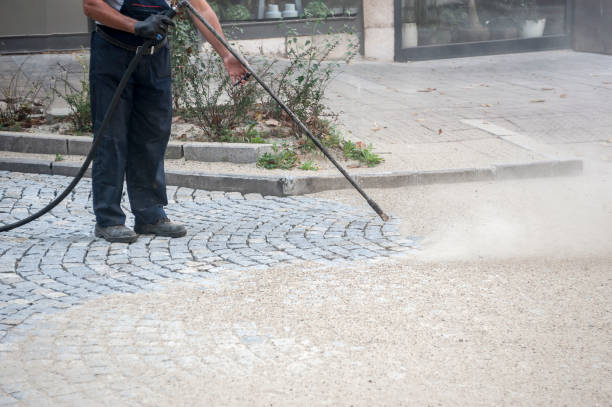 Best Soft Washing for Delicate Surfaces in Lewistown, IL